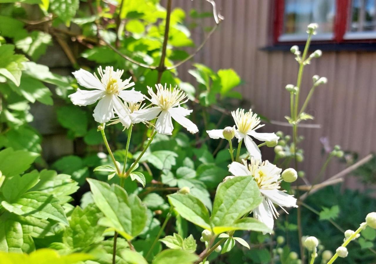 Pensjonat Flora Dekor Gaestgard Alingsås Zewnętrze zdjęcie
