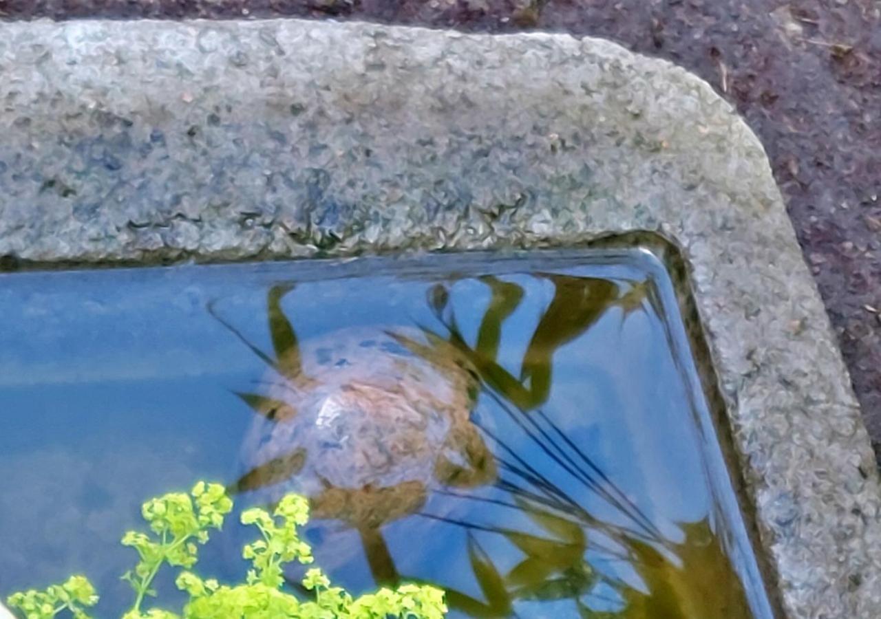 Pensjonat Flora Dekor Gaestgard Alingsås Zewnętrze zdjęcie